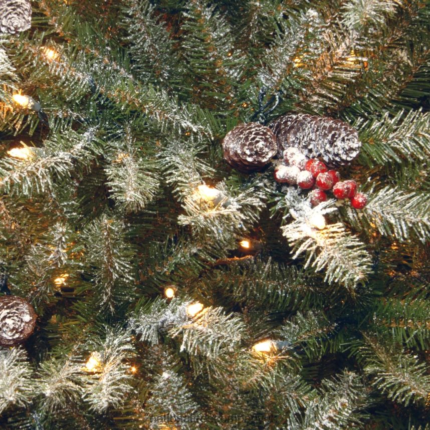 Trees | National Tree Company 75 ft Dunhill(R) Fir Slim Tree with Clear Lights F2L4F80